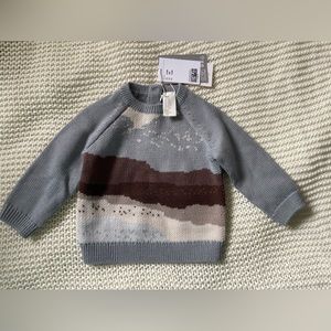 H&M 100% pure wool knit sweater NWT